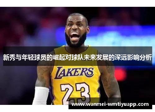 新秀与年轻球员的崛起对球队未来发展的深远影响分析